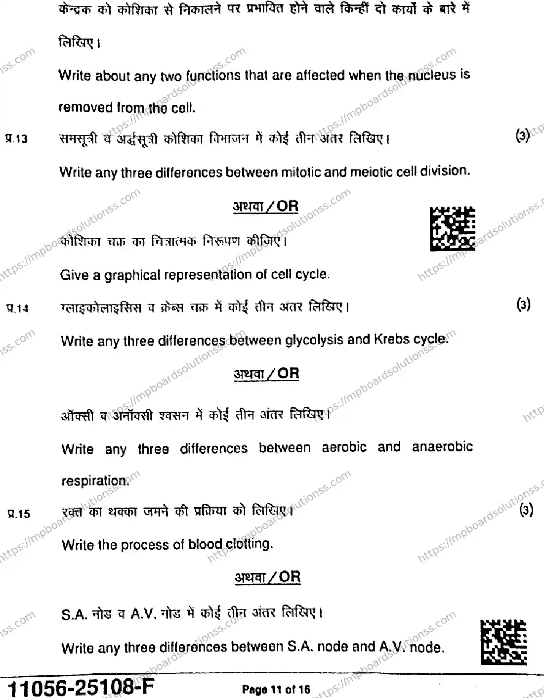 MP Board Class 11 Biology-668157 Final Paper 2025 Image 11