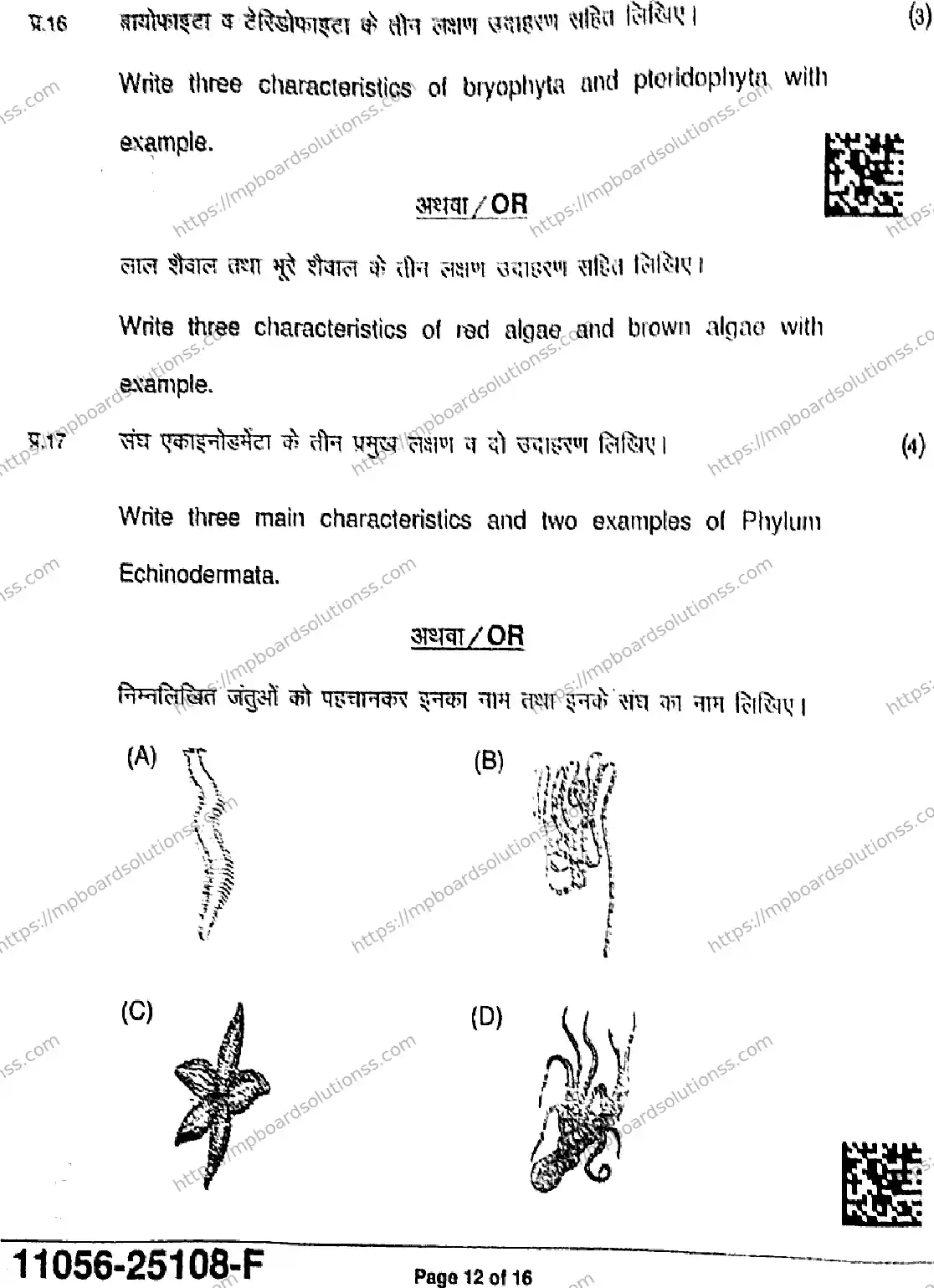MP Board Class 11 Biology-668157 Final Paper 2025 Image 12