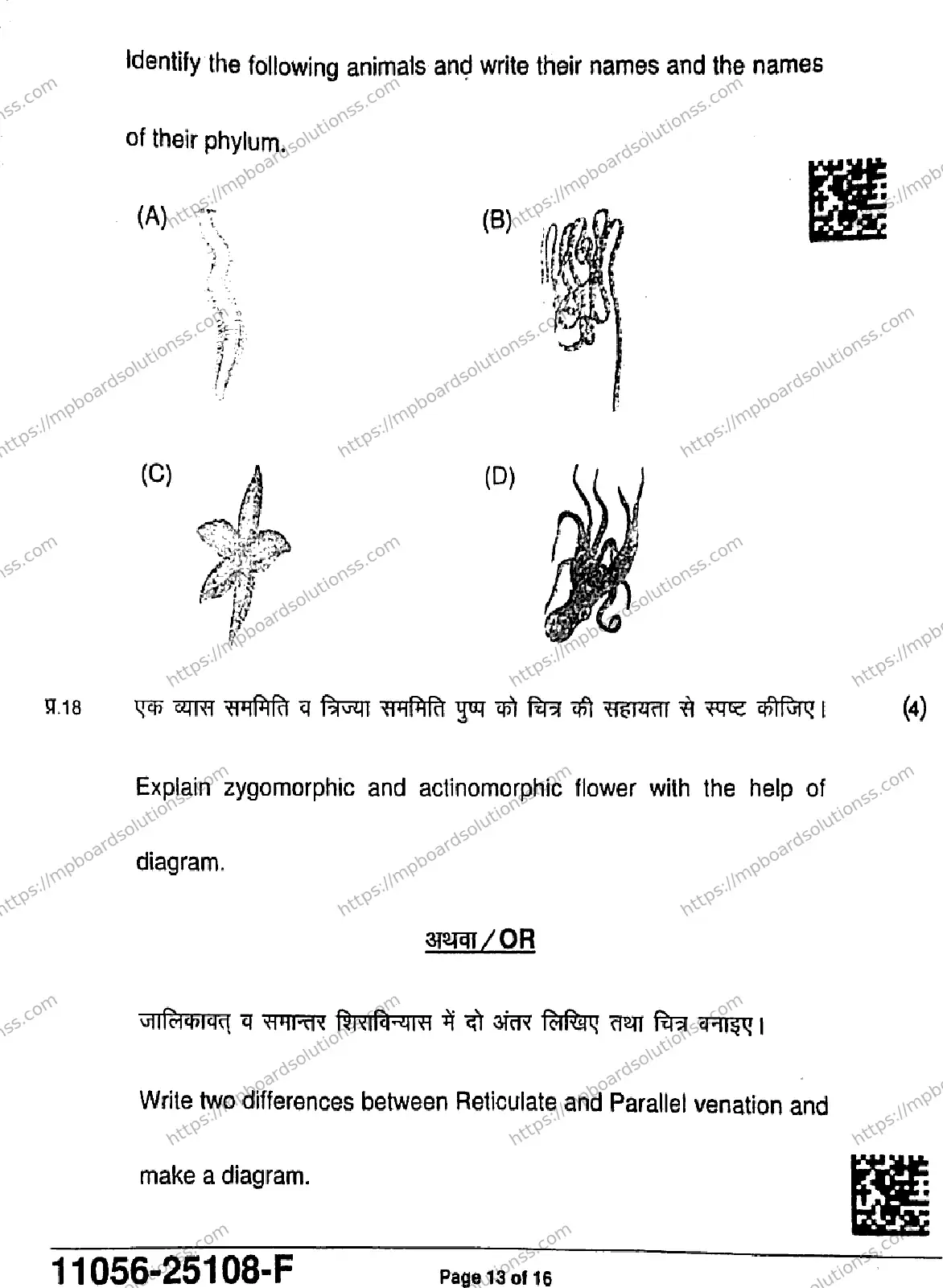 MP Board Class 11 Biology-668157 Final Paper 2025 Image 13