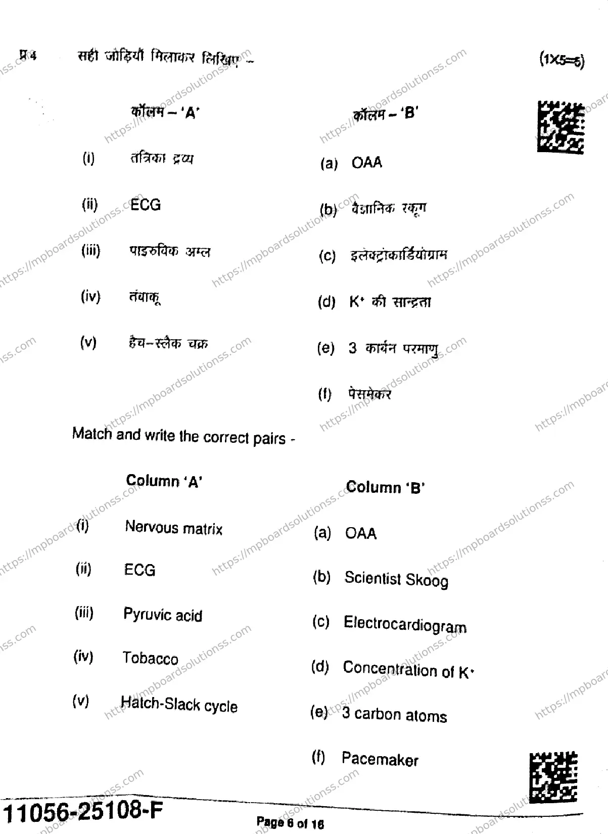 MP Board Class 11 Biology-668157 Final Paper 2025 Image 6
