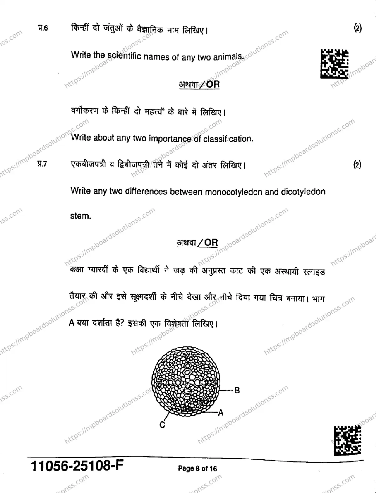 MP Board Class 11 Biology-668157 Final Paper 2025 Image 8