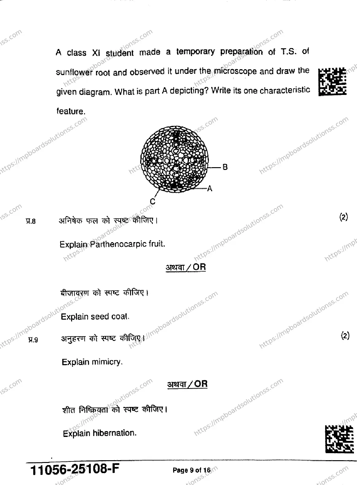 MP Board Class 11 Biology-668157 Final Paper 2025 Image 9