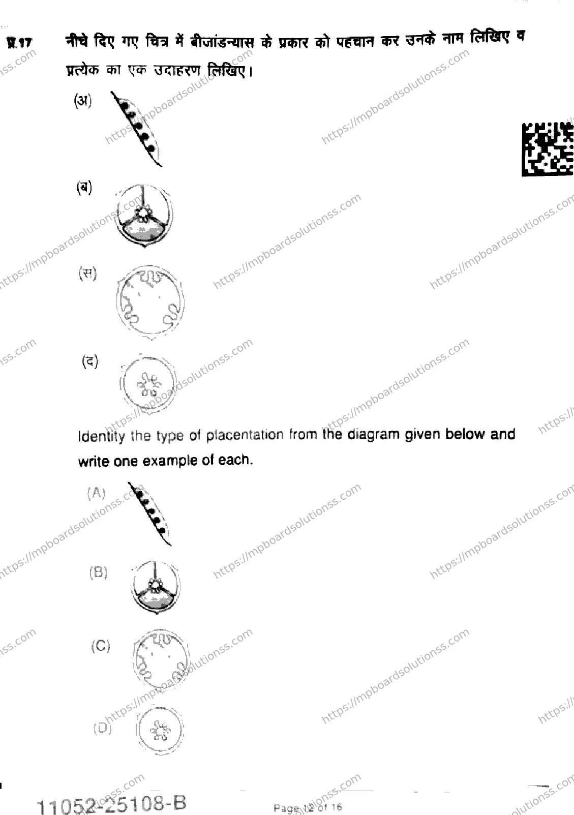 MP Board Class 11 Biology-863195 Final Paper 2025 Image 12