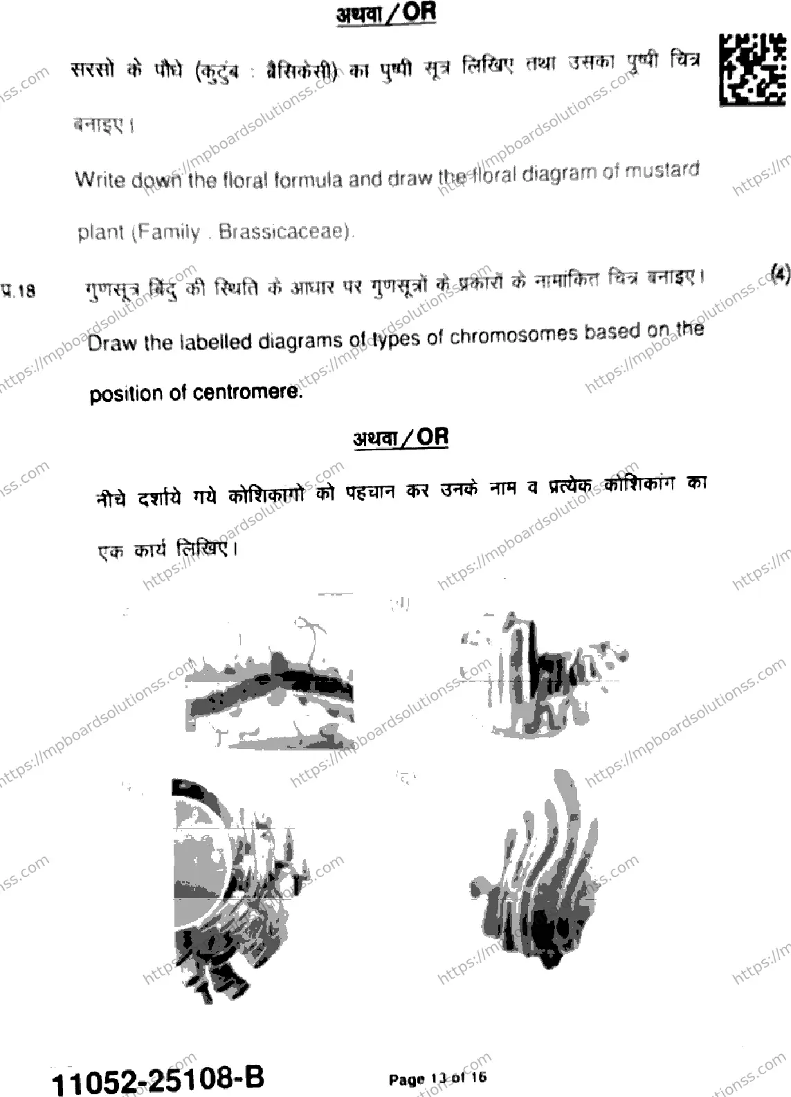 MP Board Class 11 Biology-863195 Final Paper 2025 Image 13
