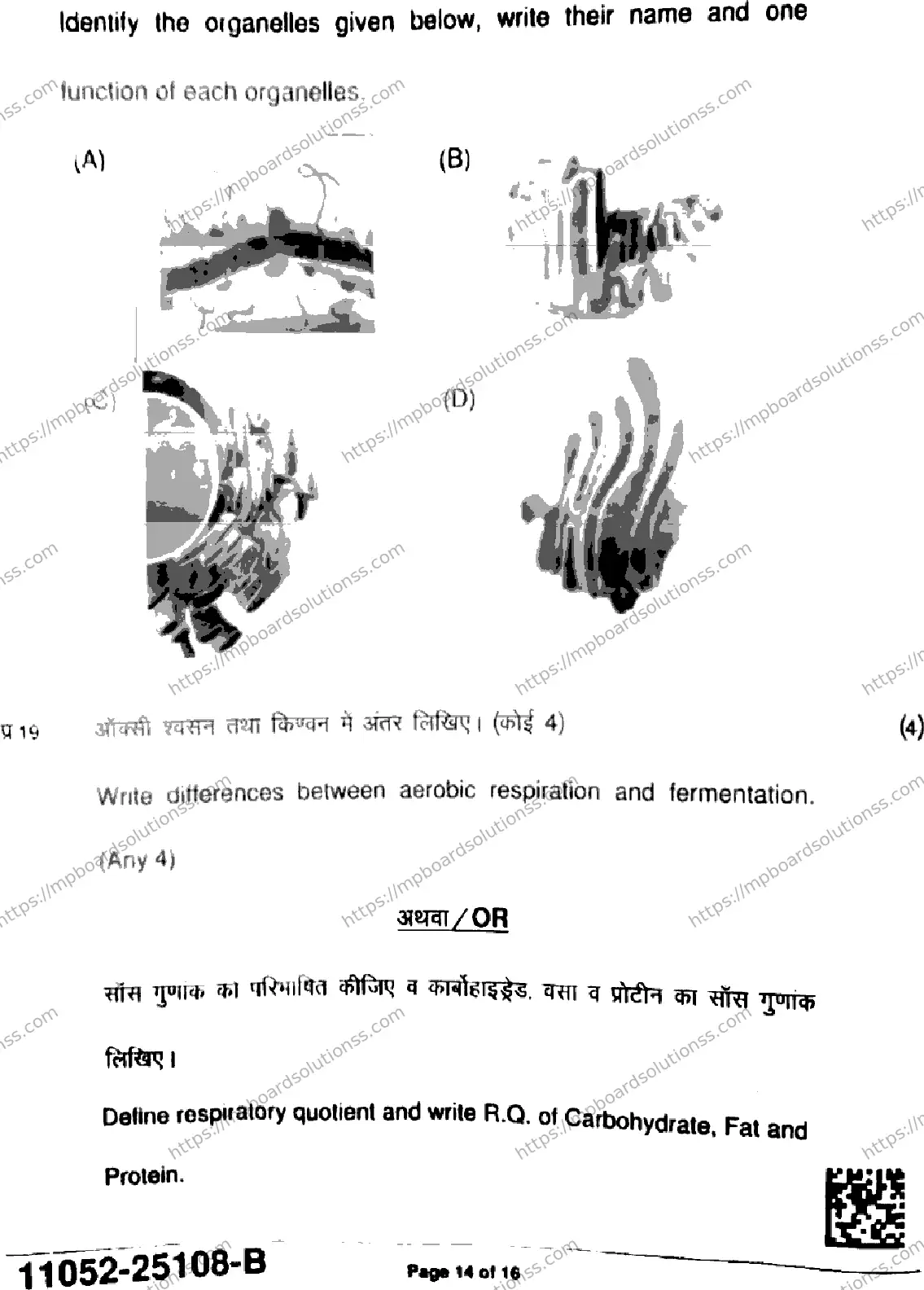 MP Board Class 11 Biology-863195 Final Paper 2025 Image 14