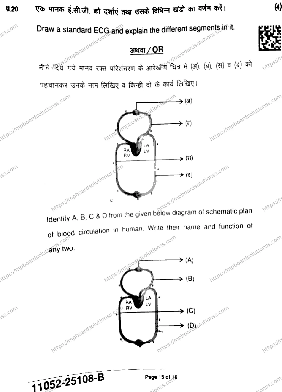 MP Board Class 11 Biology-863195 Final Paper 2025 Image 15