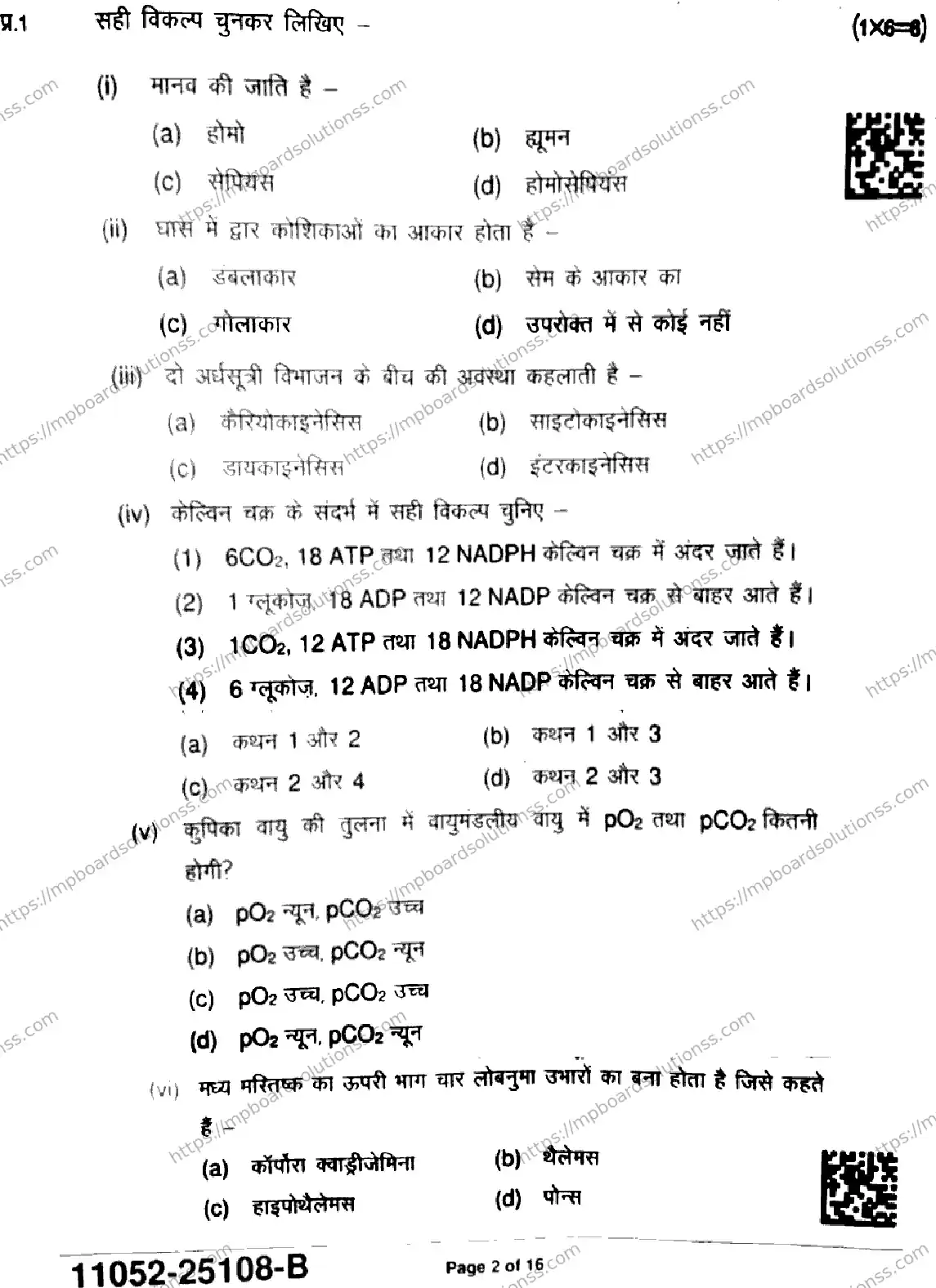 MP Board Class 11 Biology-863195 Final Paper 2025 Image 2