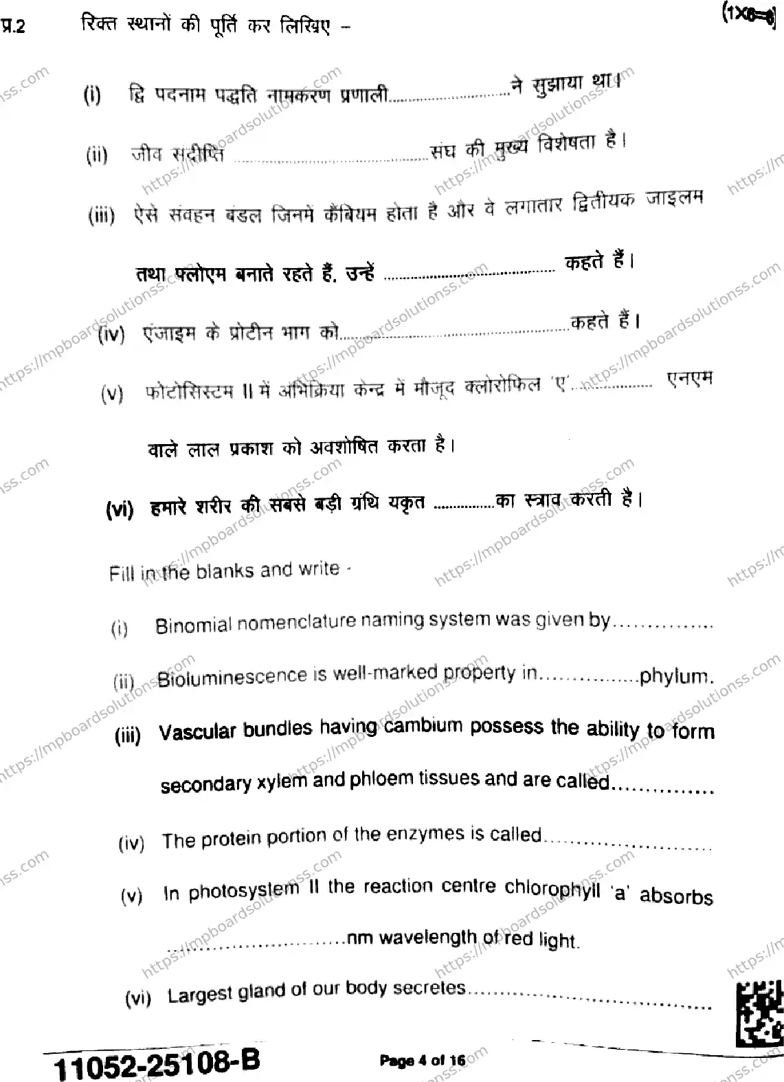 MP Board Class 11 Biology-863195 Final Paper 2025 Image 4