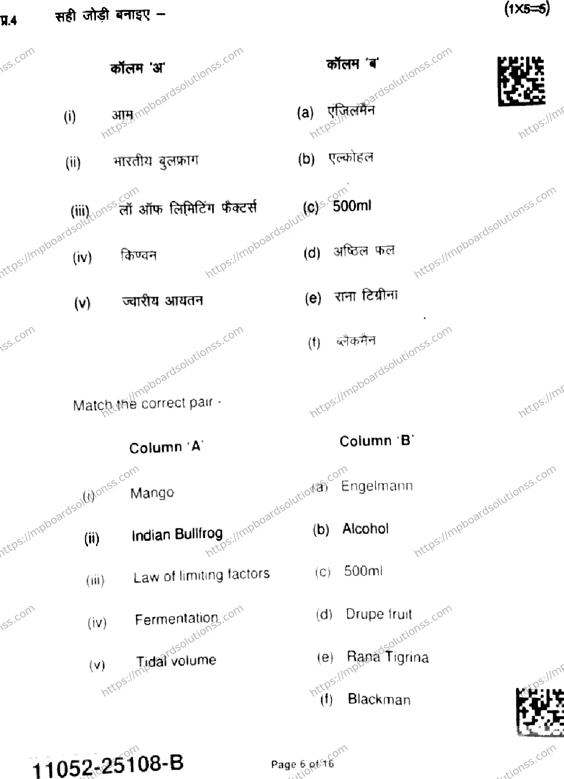 MP Board Class 11 Biology-863195 Final Paper 2025 Image 6