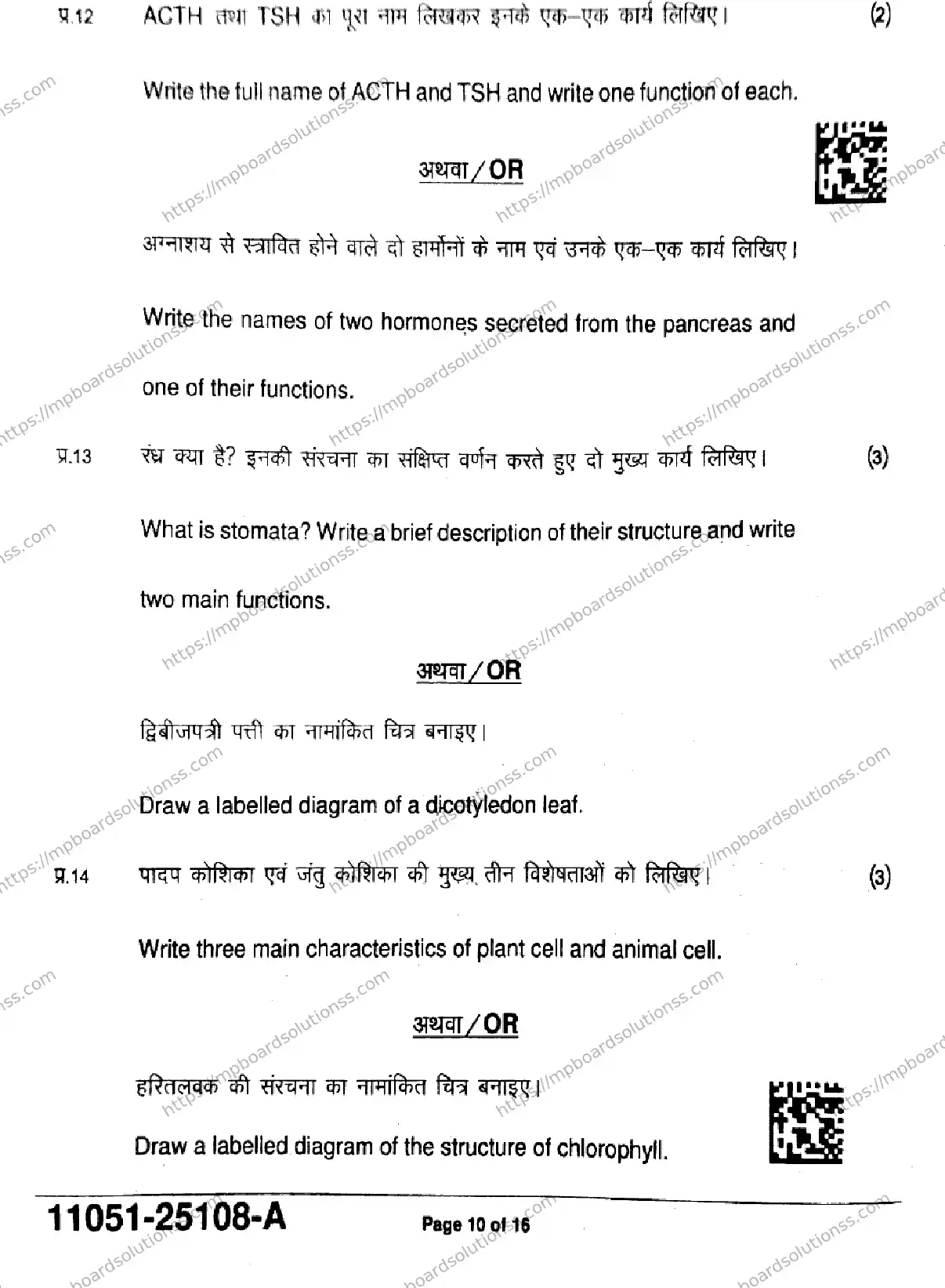 MP Board Class 11 Biology-935792 Final Paper 2025 Image 10