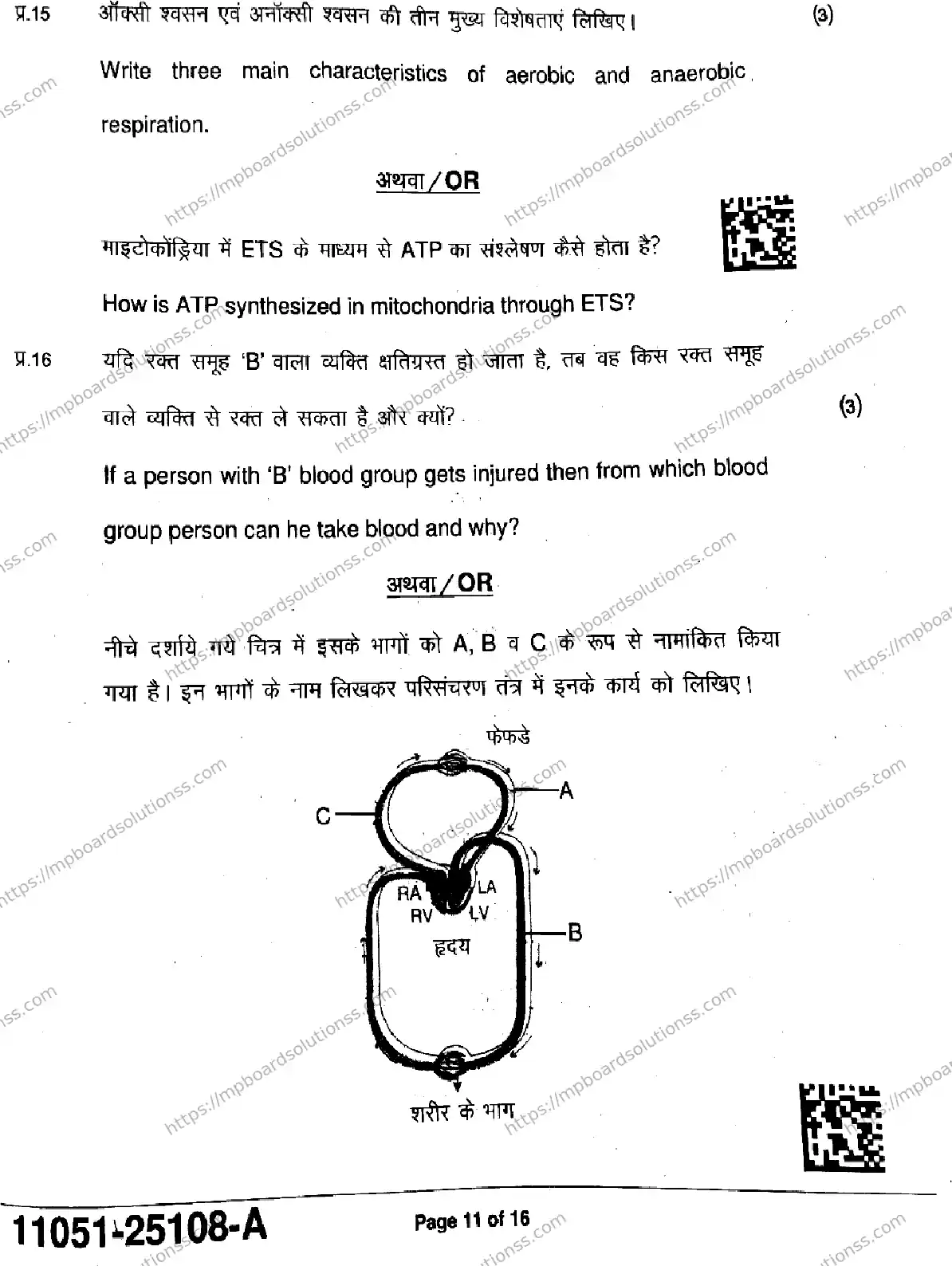 MP Board Class 11 Biology-935792 Final Paper 2025 Image 11