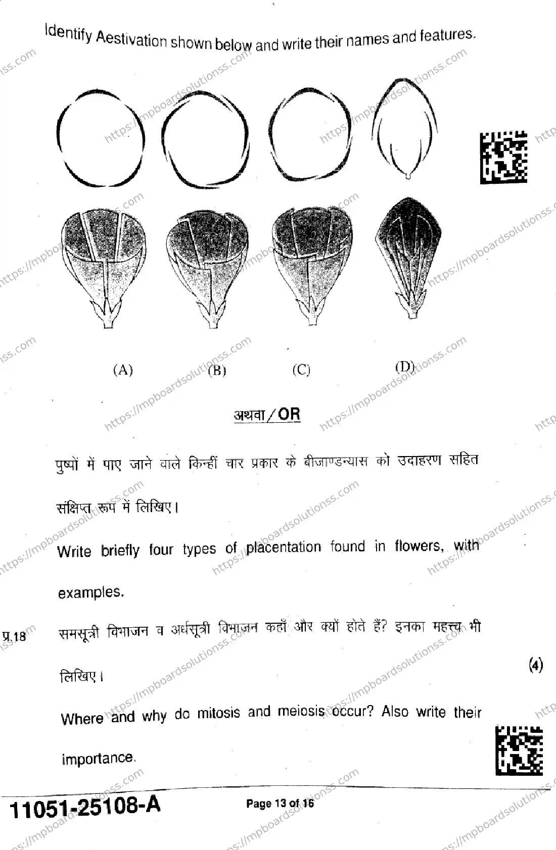 MP Board Class 11 Biology-935792 Final Paper 2025 Image 13