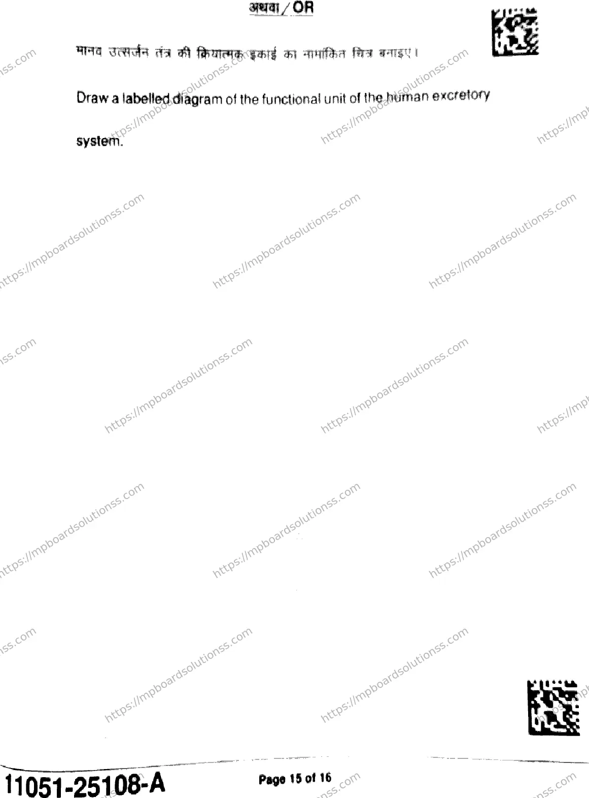 MP Board Class 11 Biology-935792 Final Paper 2025 Image 15