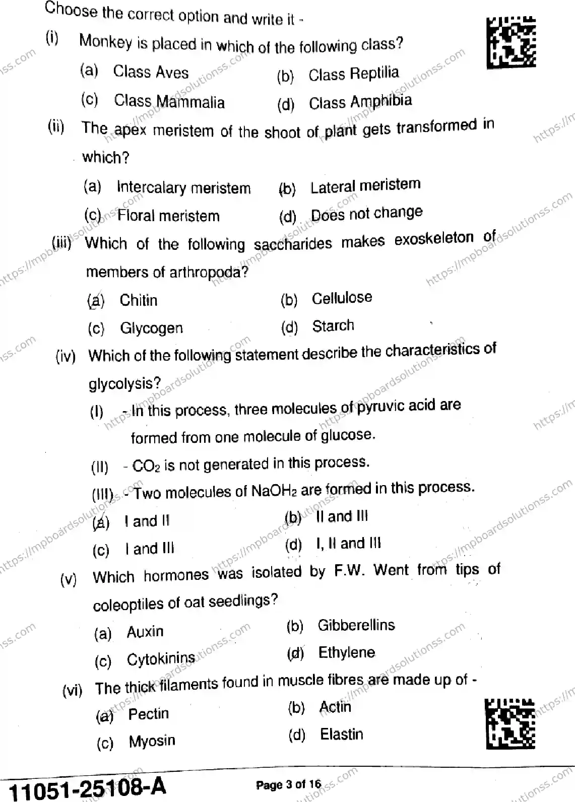 MP Board Class 11 Biology-935792 Final Paper 2025 Image 3