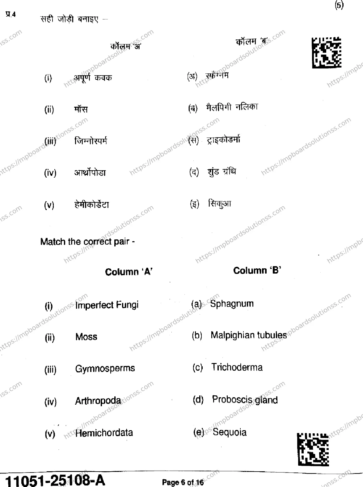 MP Board Class 11 Biology-935792 Final Paper 2025 Image 6