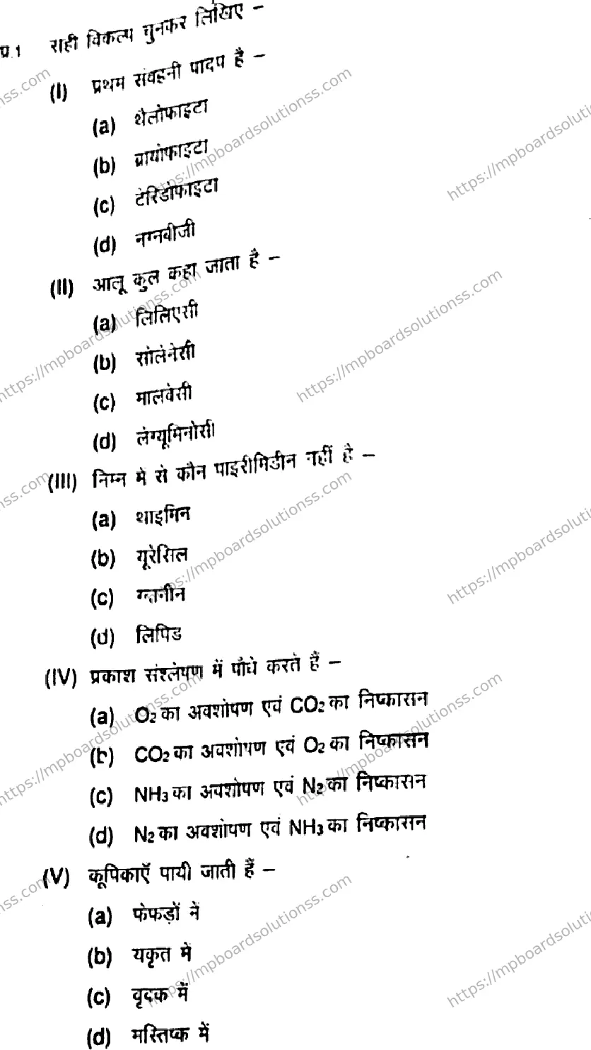 MP Board Class 11 Biology HE-508065 Final Paper 2021 Image 2