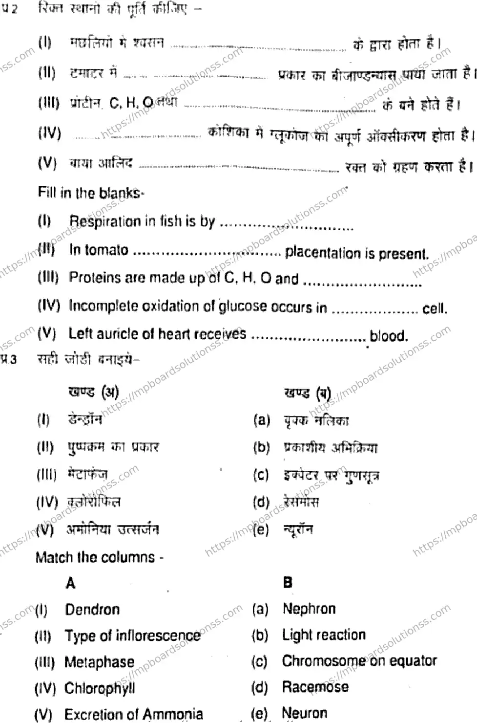 MP Board Class 11 Biology HE-508065 Final Paper 2021 Image 3