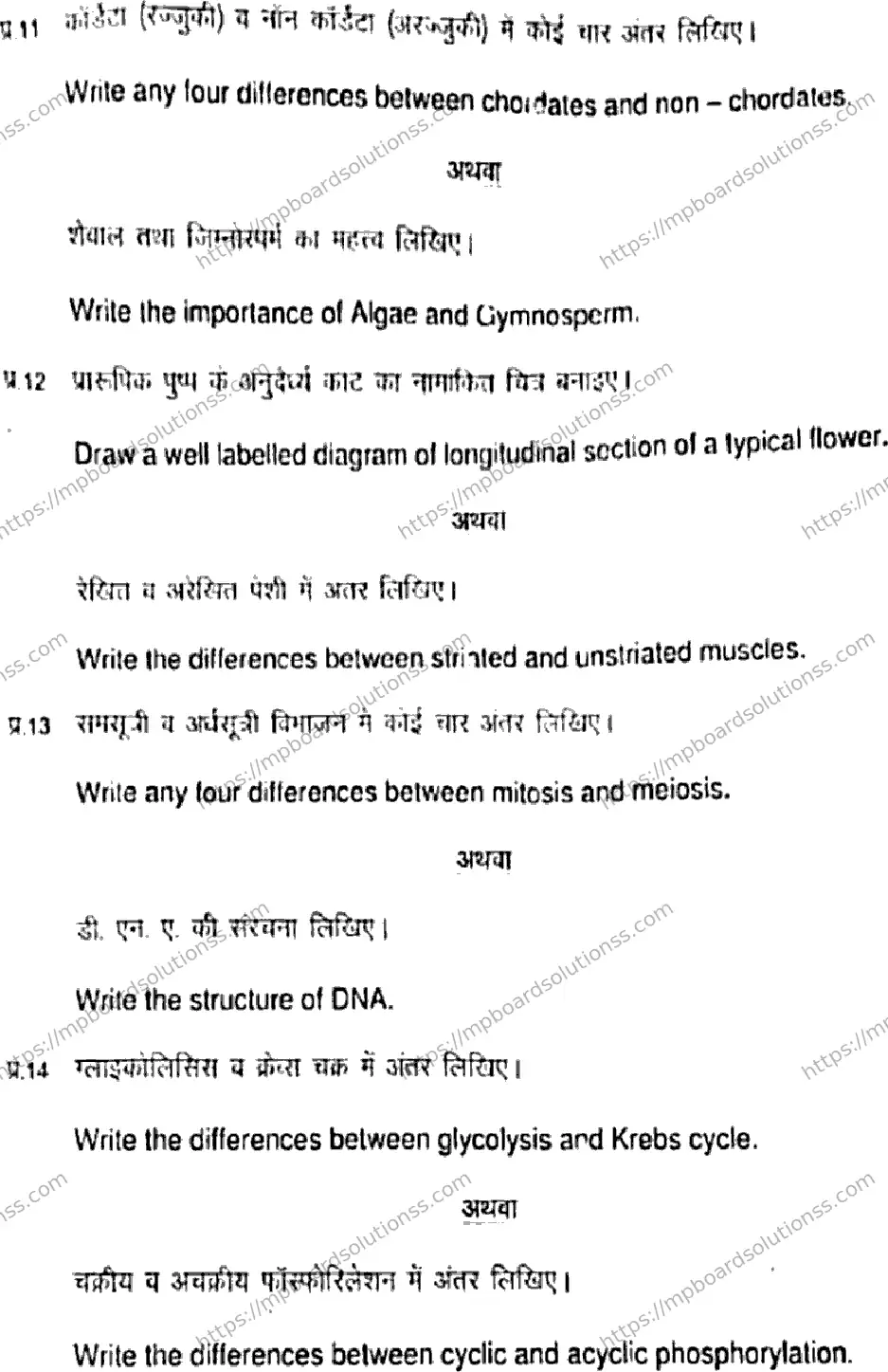 MP Board Class 11 Biology HE-508065 Final Paper 2021 Image 6