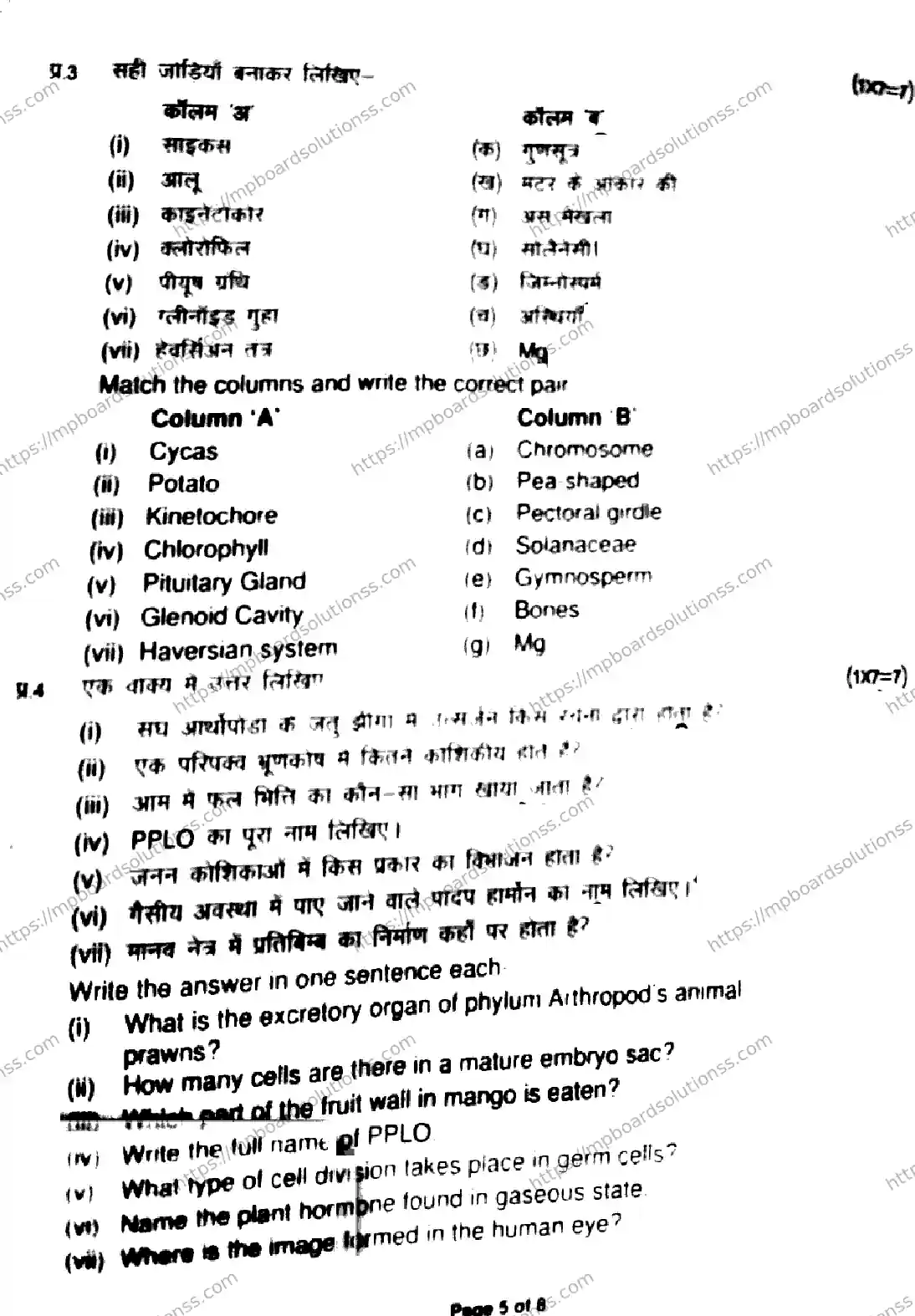 MP Board Class 11 Biology HE-889344 Final Paper 2022 Image 5