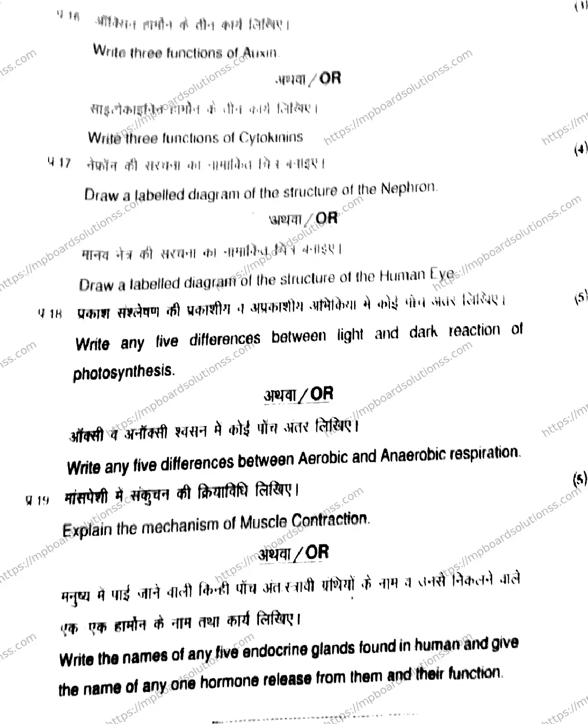 MP Board Class 11 Biology HE-889344 Final Paper 2022 Image 8