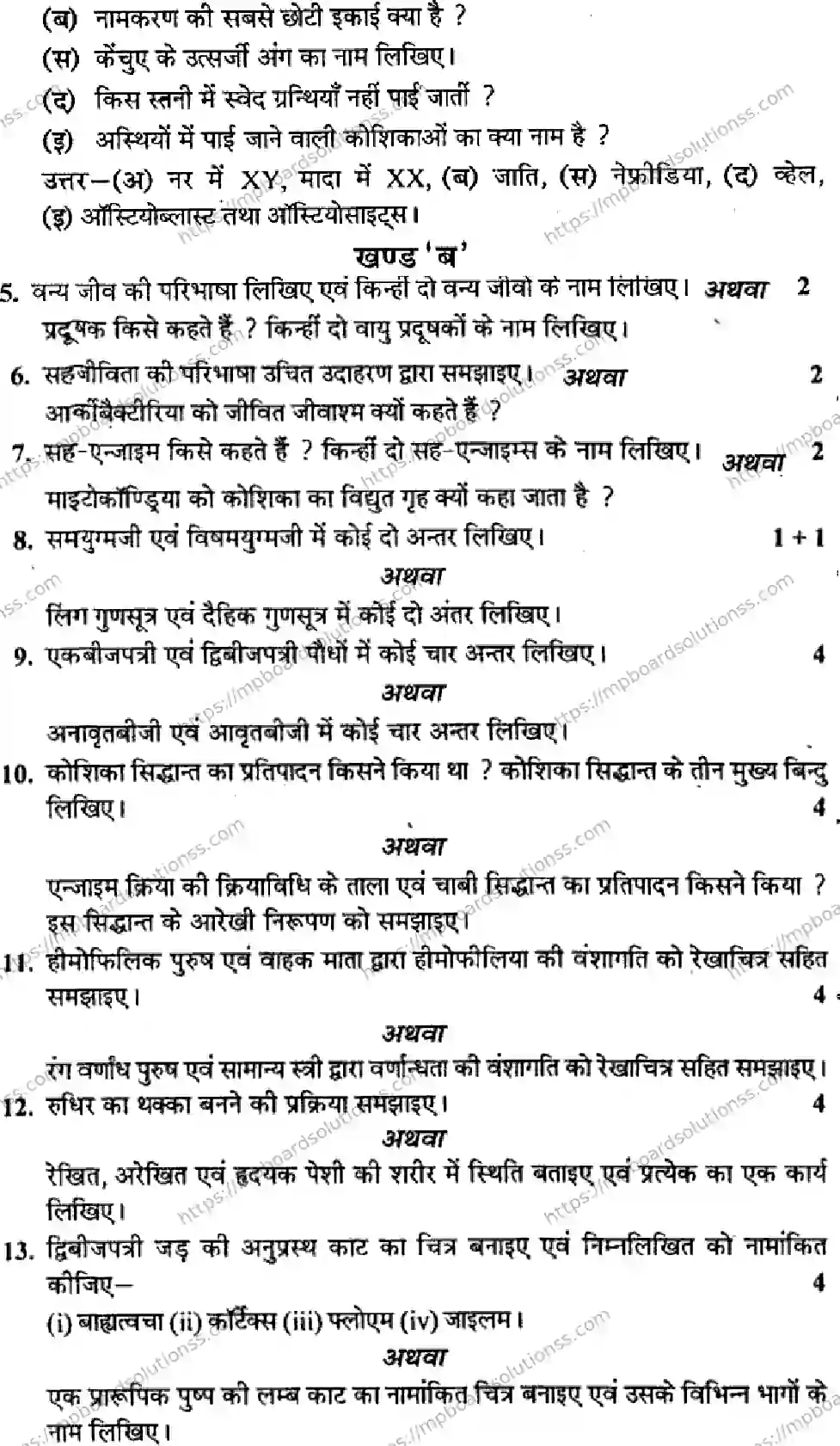 MP Board Class 11 Biology HM-782892 Final Paper 2015 Image 2