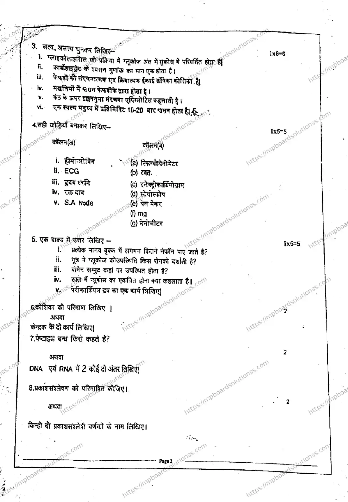 MP Board Class 11 Biology Set A QTR-932869 Final Paper 2024 Image 2