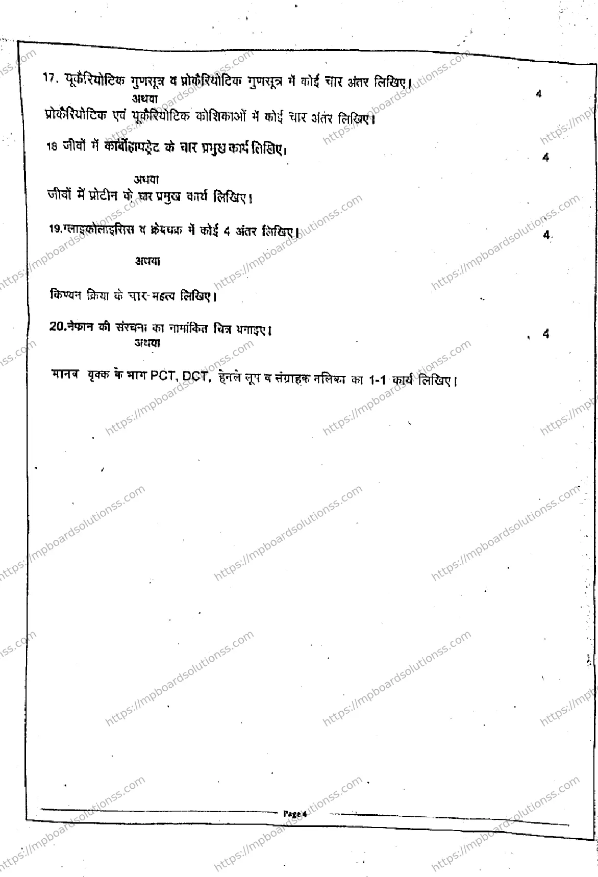MP Board Class 11 Biology Set A QTR-932869 Final Paper 2024 Image 4