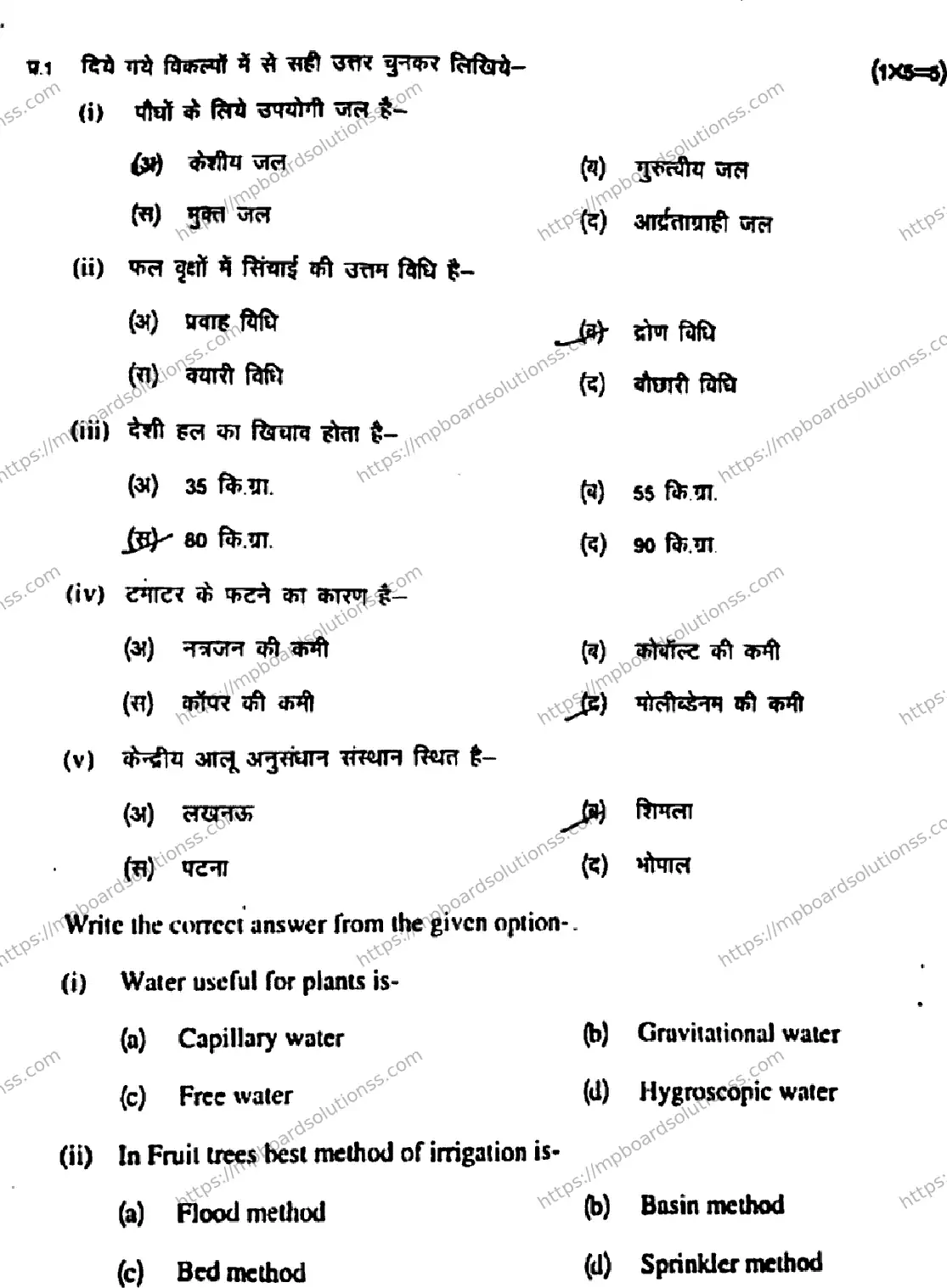 MP Board Class 11 Crop Production & Horticulture HE-422990 Final Paper 2019 Image 2