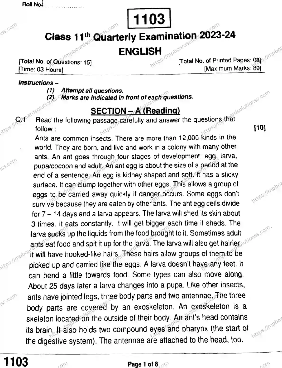 MP Board Class 11 English QTR-838505 Final Paper 2024 Image 1