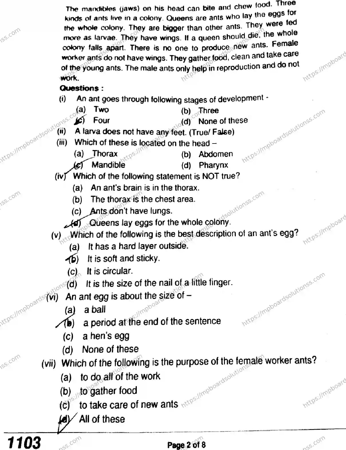 MP Board Class 11 English QTR-838505 Final Paper 2024 Image 2