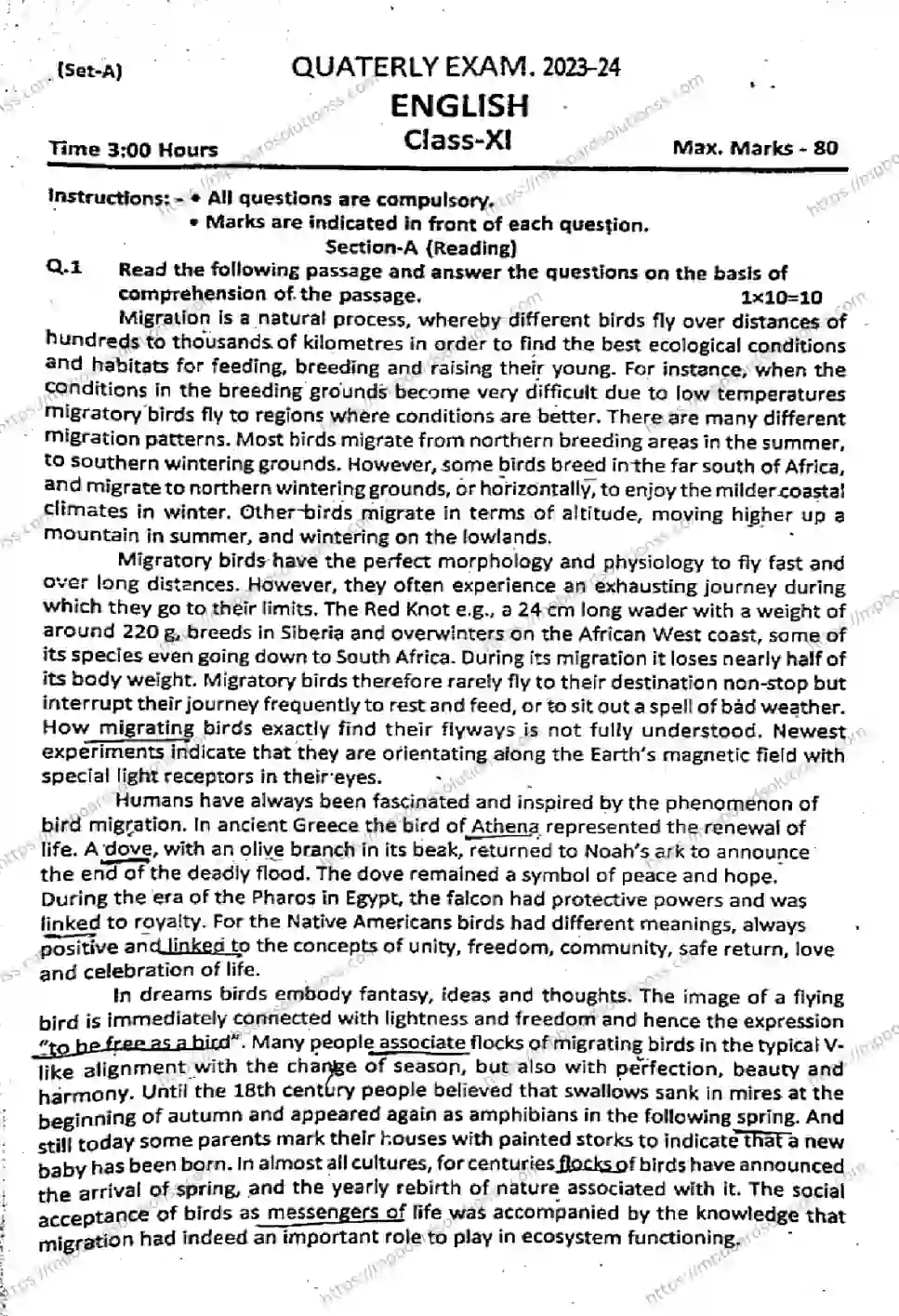 MP Board Class 11 English Set A QTR-806854 Final Paper 2024 Image 1