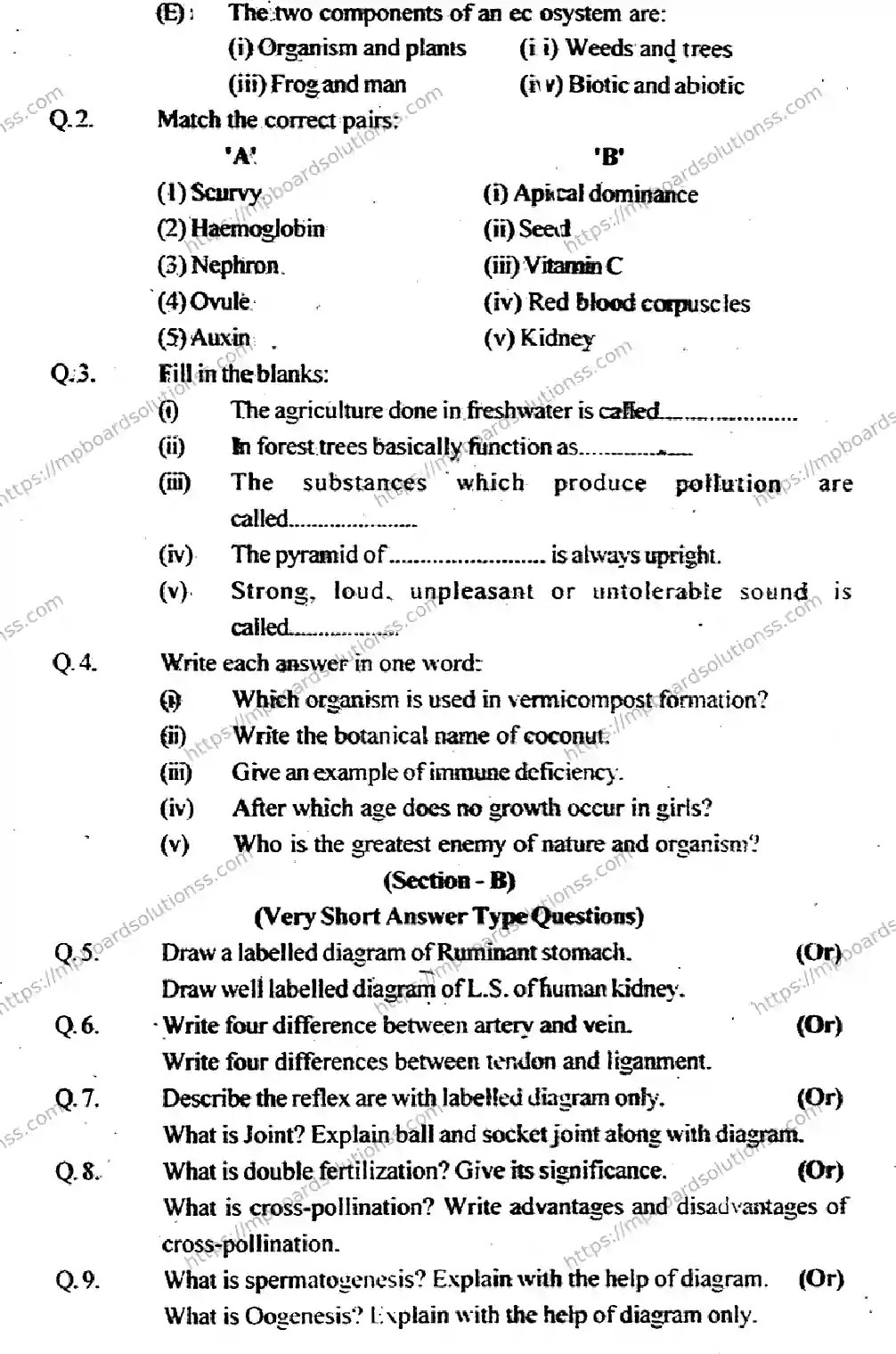MP Board Class 12 Biology EM-219908 Final Paper 2013 Image 2