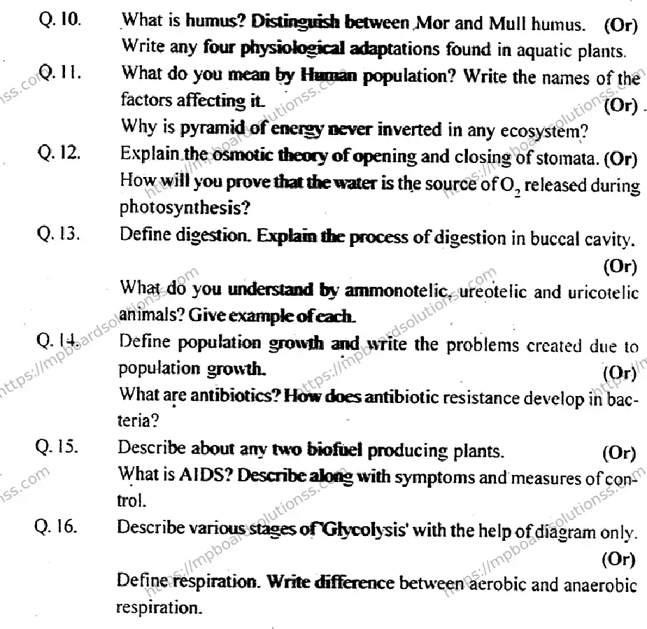 MP Board Class 12 Biology EM-219908 Final Paper 2013 Image 3