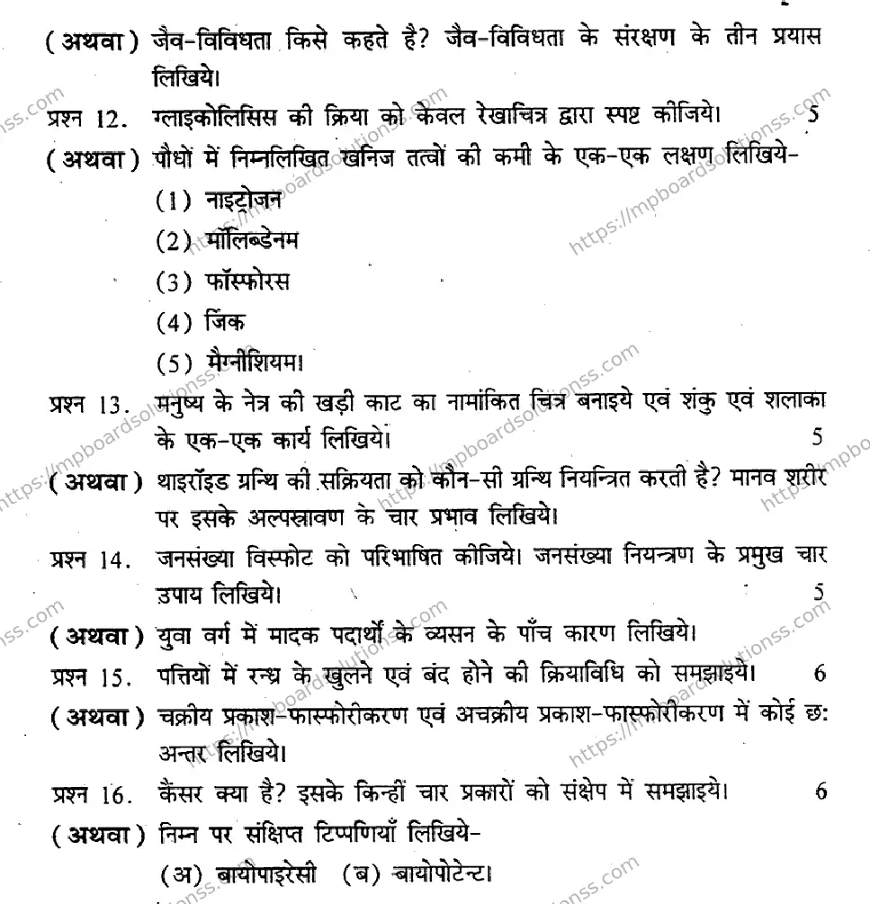 MP Board Class 12 Biology HM-860914 Final Paper 2012 Image 3
