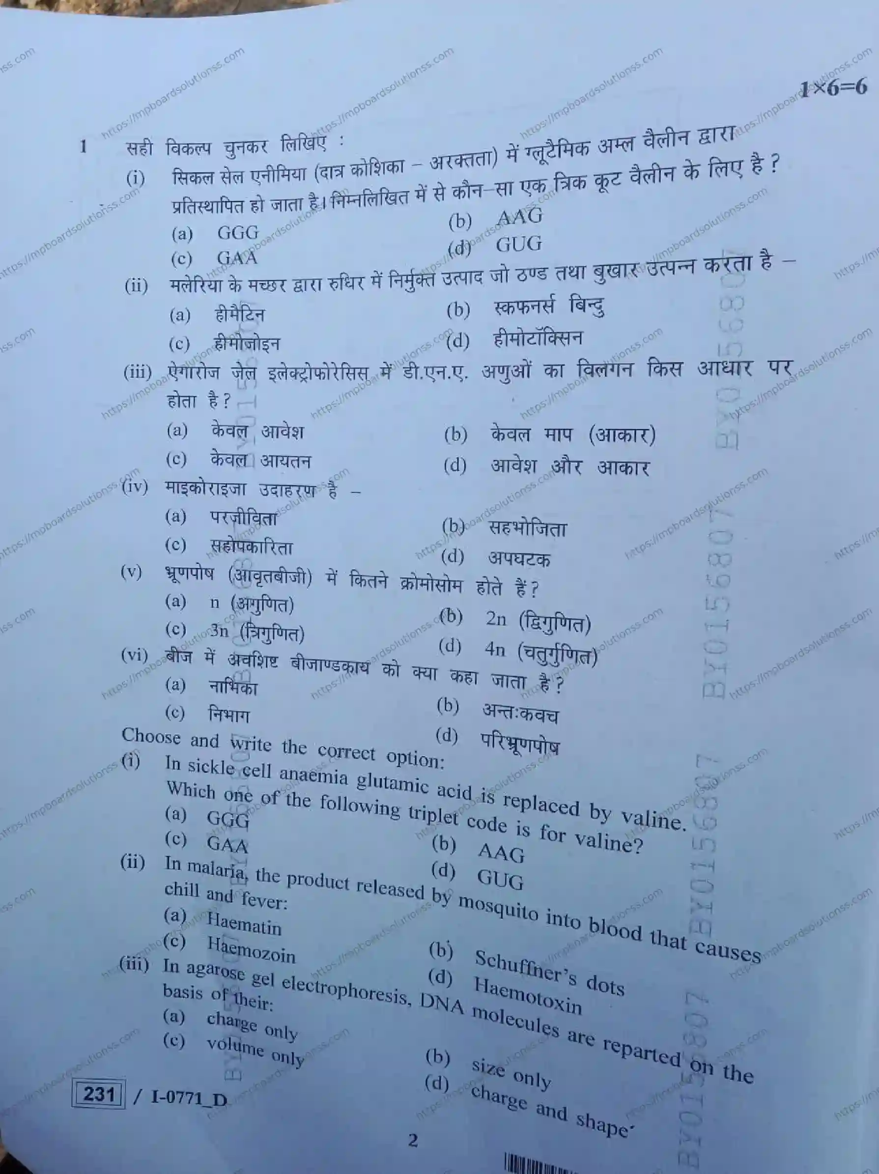 MP Board Class 12 Biology I Set D-954017 Final Paper 2024 Image 2