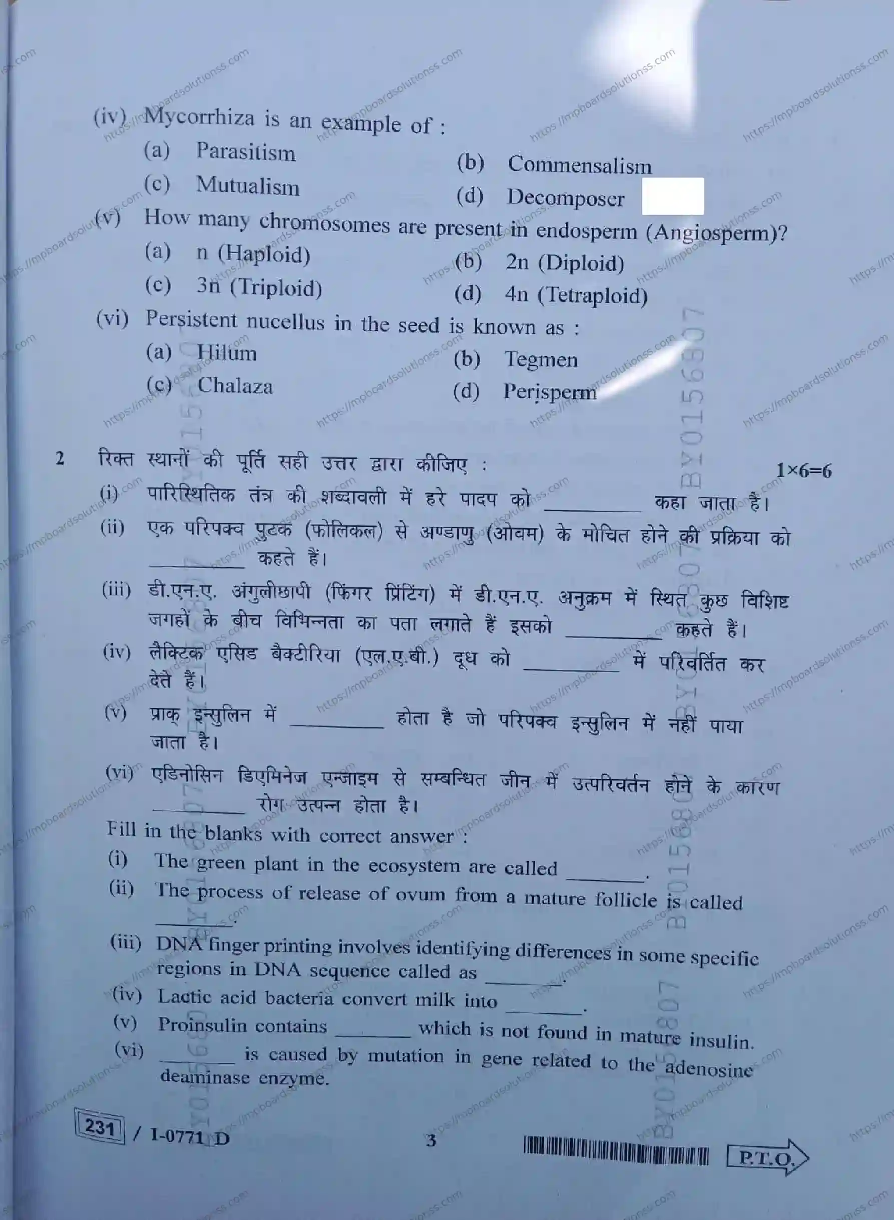MP Board Class 12 Biology I Set D-954017 Final Paper 2024 Image 3