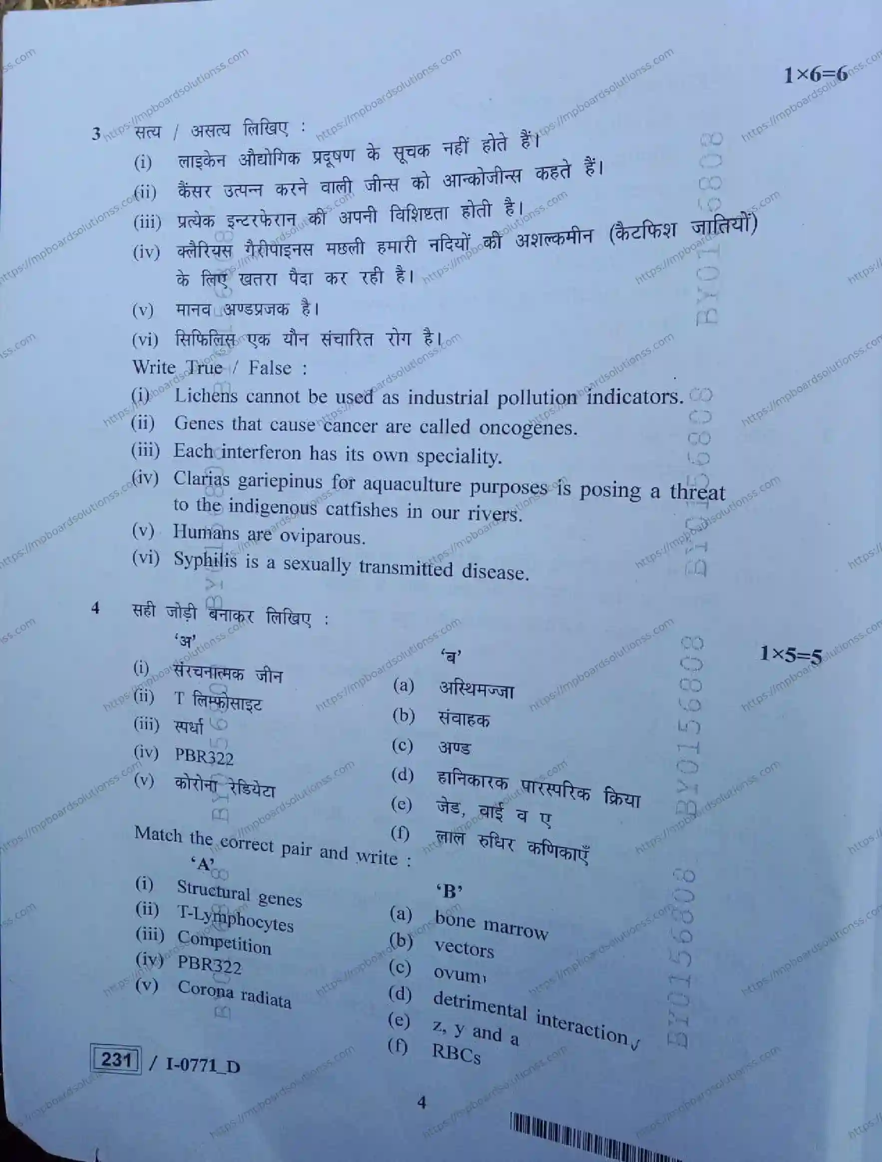 MP Board Class 12 Biology I Set D-954017 Final Paper 2024 Image 4