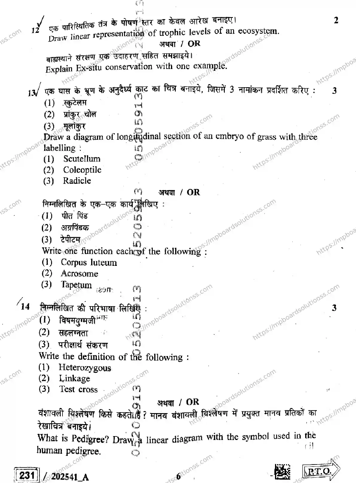 MP Board Class 12 Biology Set A-876777 Final Paper 2025 Image 6