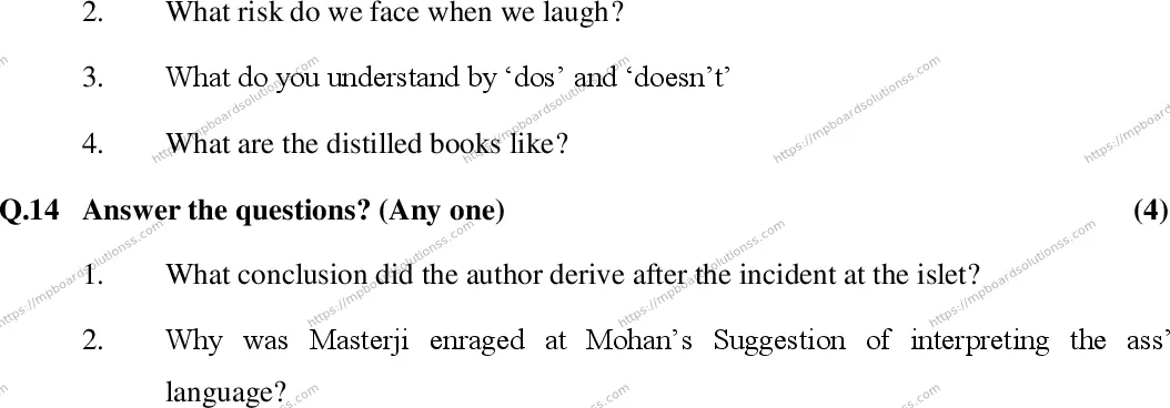 MP Board Class 12 English-790200 Final Paper 2016 Image 5