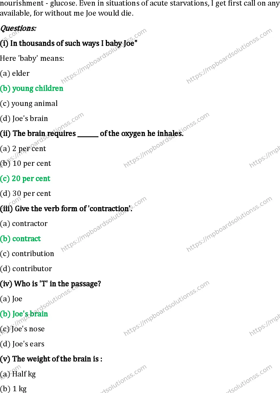 MP Board Class 12 English I Set B-144134 Final Paper 2024 Image 3