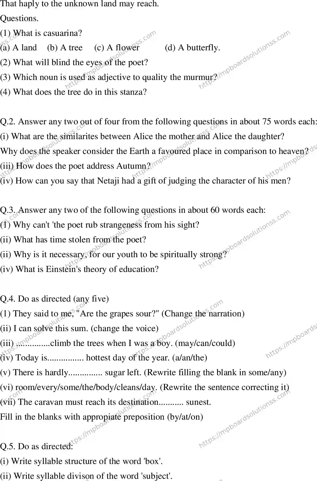 MP Board Class 12 English Special-255210 Final Paper 2013 Image 2