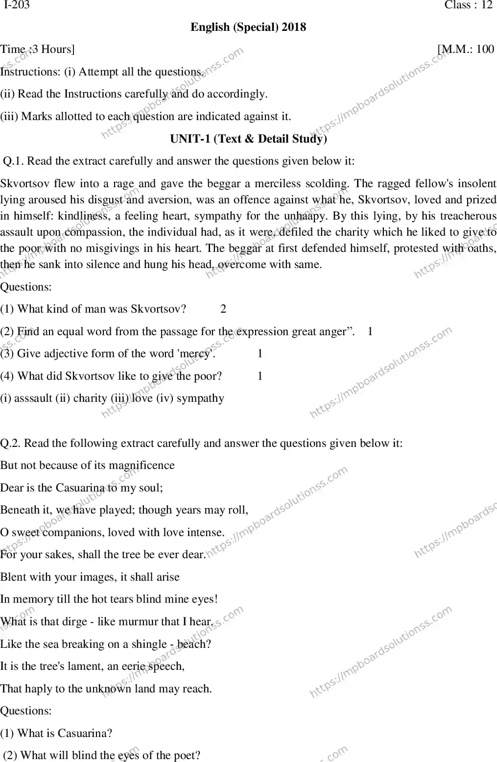 MP Board Class 12 English Special I-381811 Final Paper 2018 Image 1