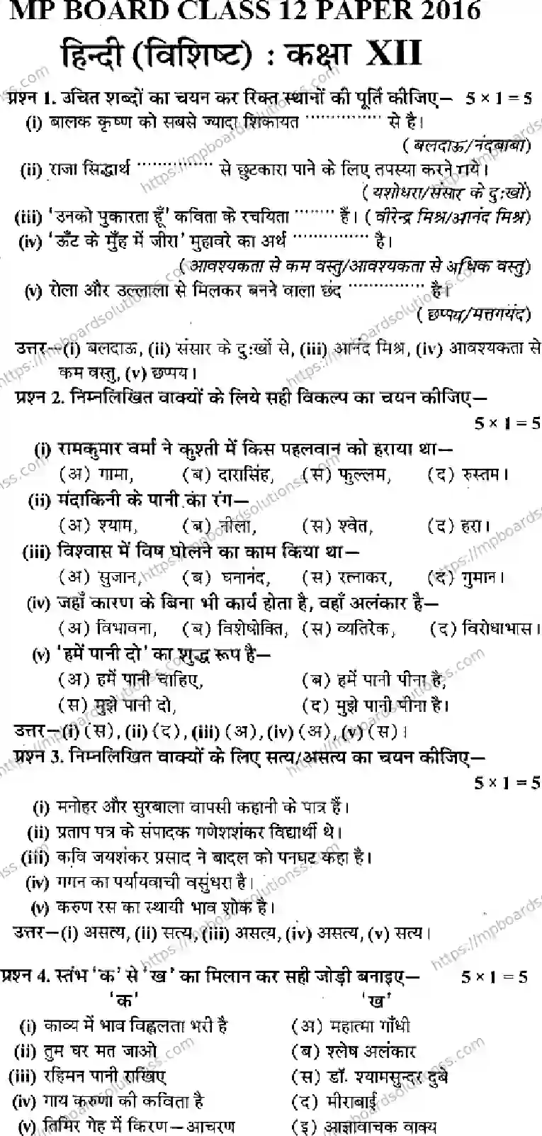 MP Board Class 12 Hindi Special-226723 Final Paper 2016 Image 1