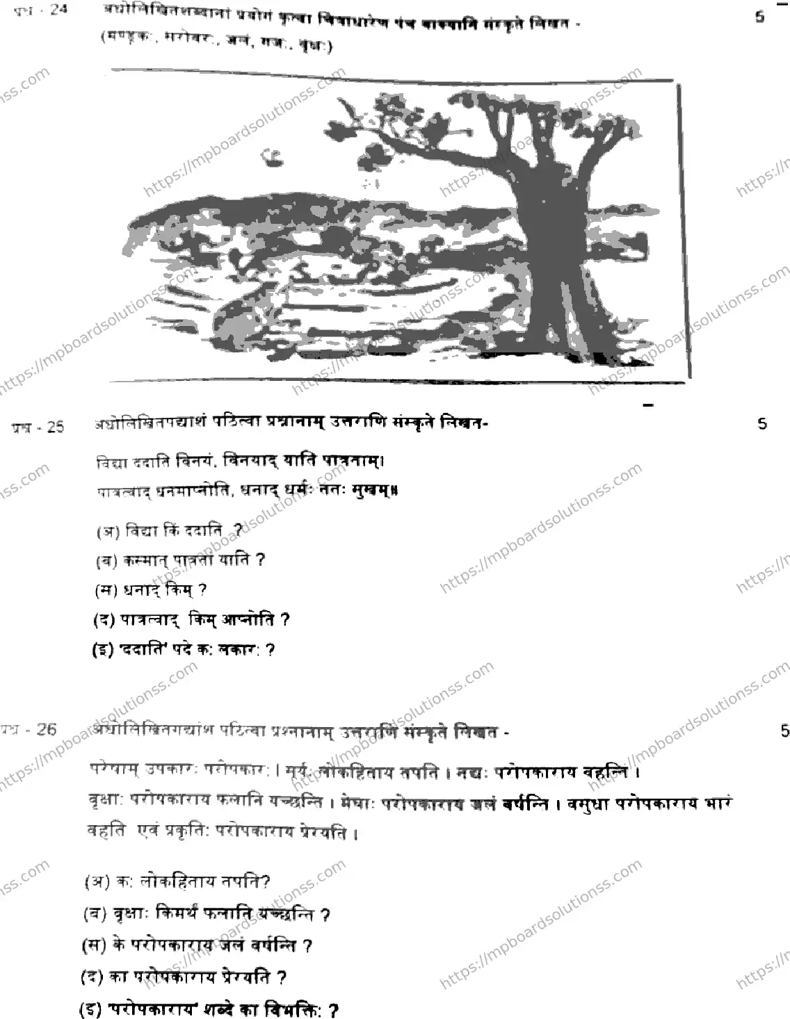 MP Board Class 6 Sanskrit-805004 Final Paper 2024 Image 3