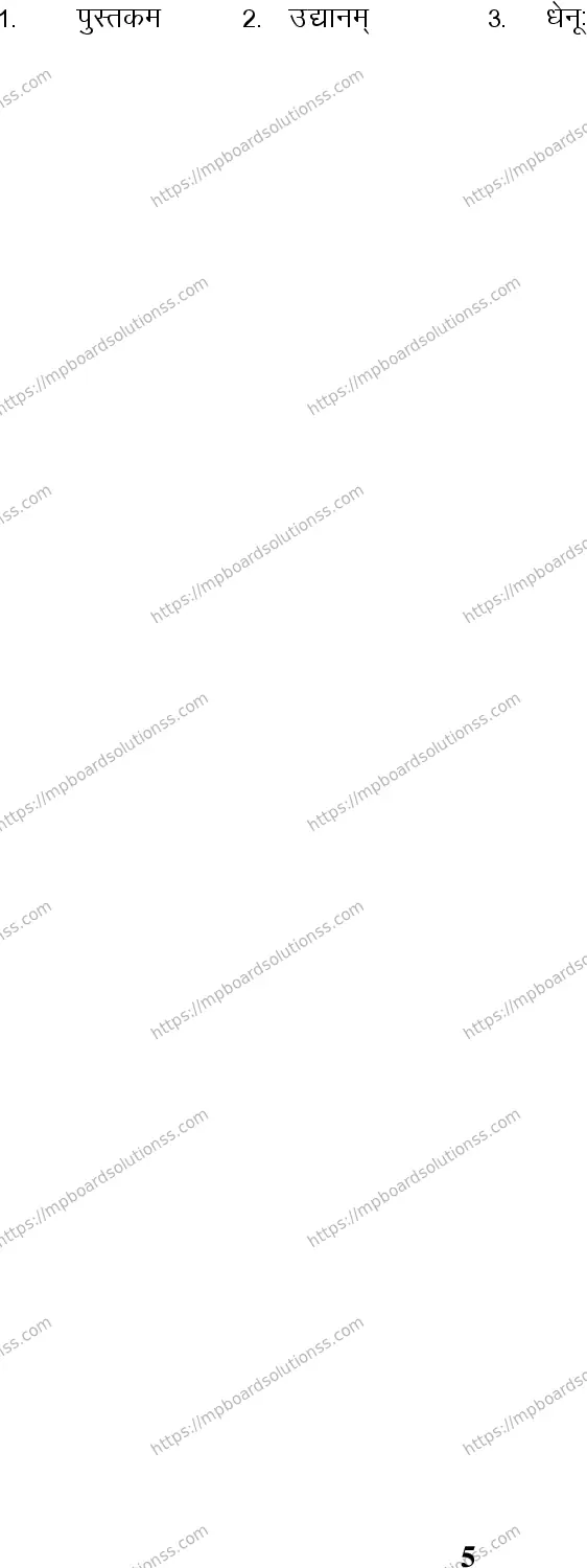 MP Board Class 7 Sanskrit-213065 Final Paper 2016 Image 5