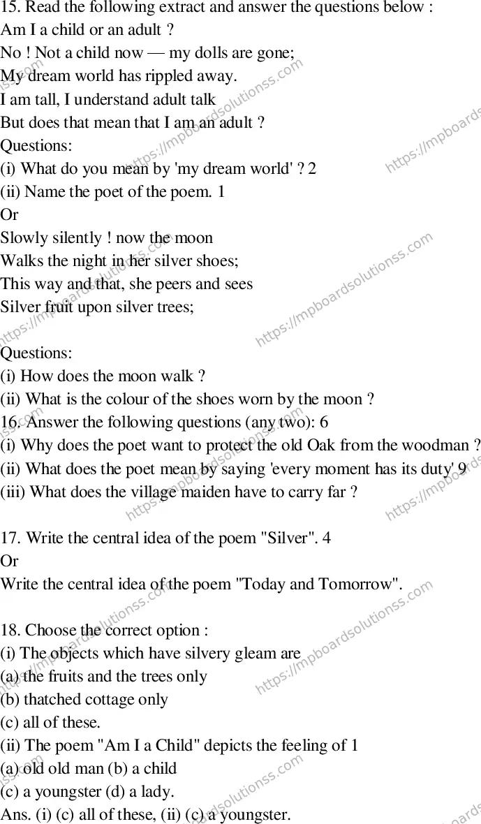 MP Board Class 9 English-449534 Final Paper 2016 Image 5