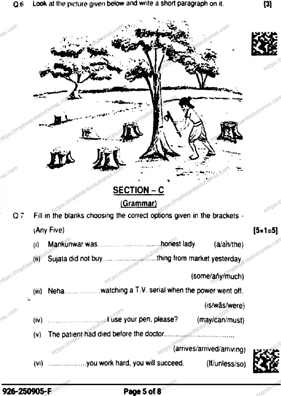 MP Board Class 9 English-799658 Final Paper 2025 Image 5