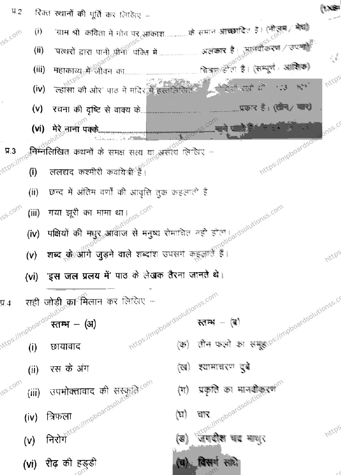 MP Board Class 9 Hindi-317351 Final Paper 2025 Image 3