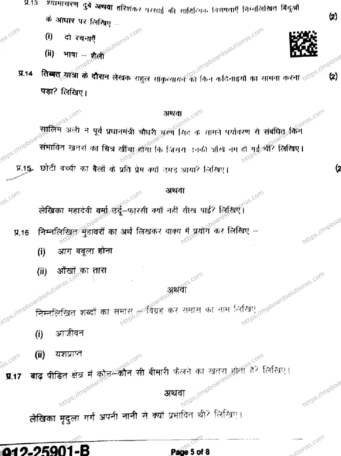 MP Board Class 9 Hindi-317351 Final Paper 2025 Image 5