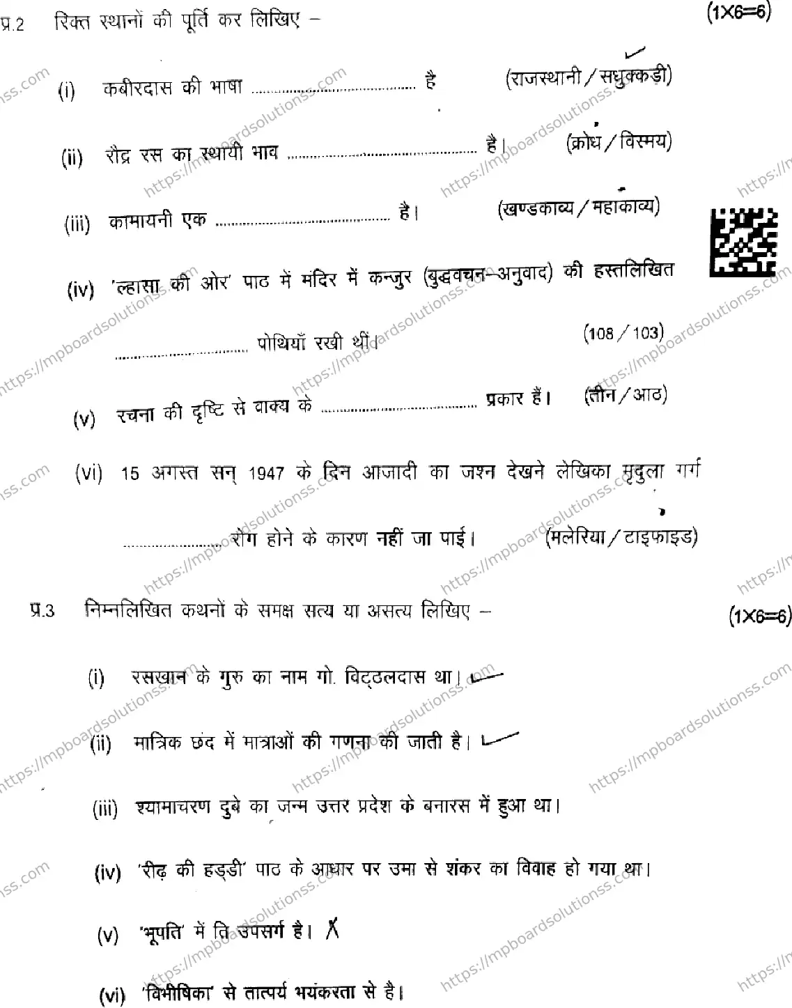 MP Board Class 9 Hindi-700558 Final Paper 2025 Image 3